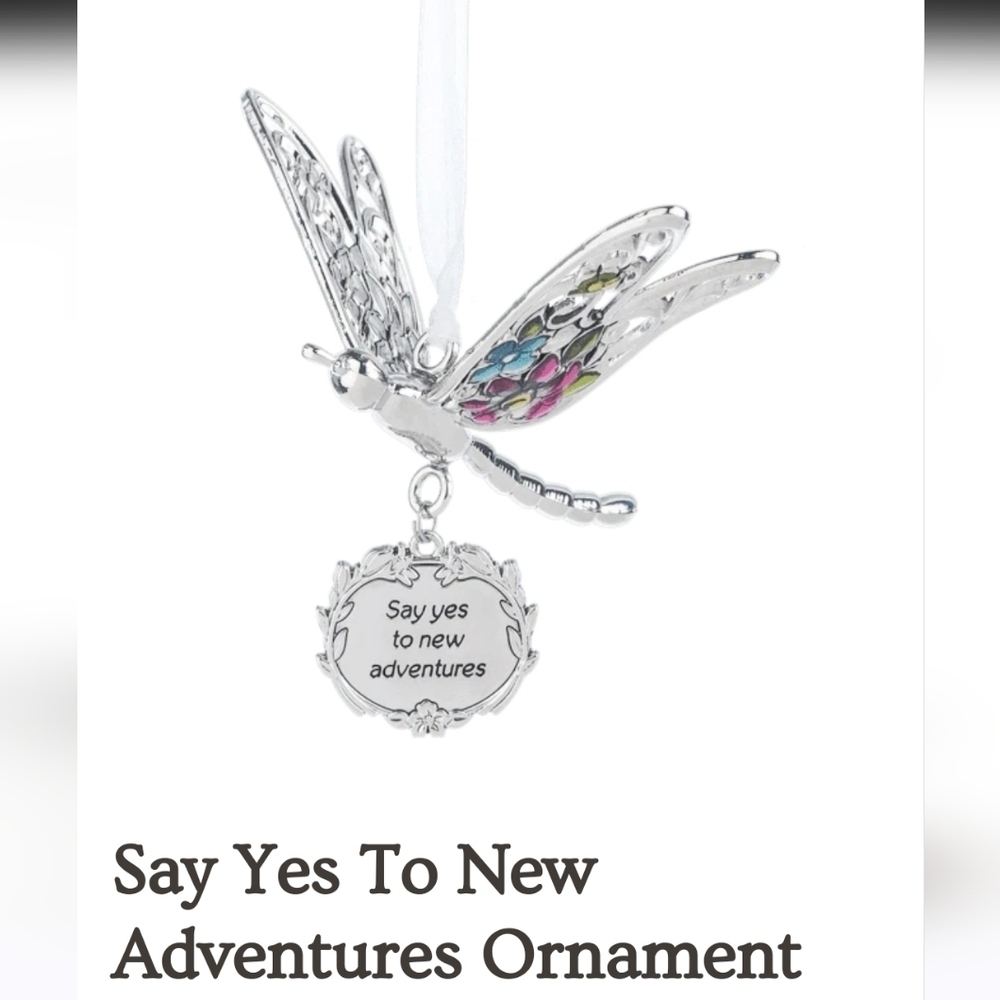 Bejeweled Dragonfly Ornament With Inspirational Verse - Picture 2 of 6